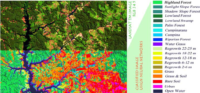 Landsat-TM-image-of-a-forest-area-in-Amazonia-Brazil-top-half-under-pressure