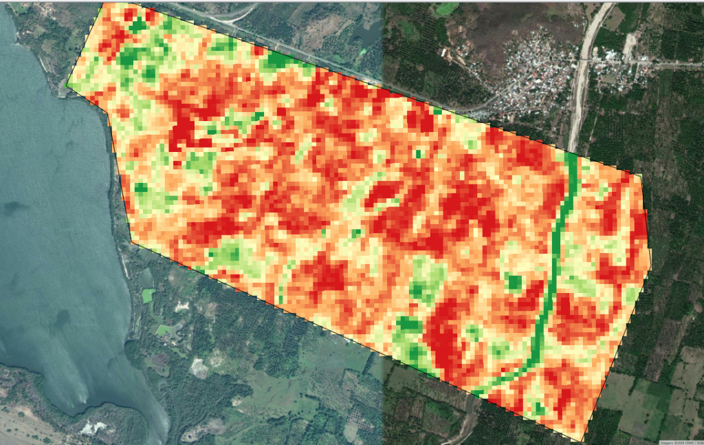 ndvi