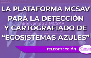 entrada_blog_mcsav
