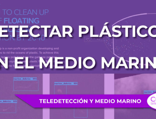 Cómo detectar plásticos en el medio marino